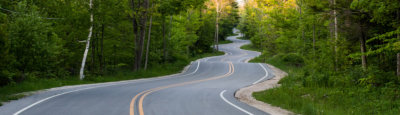 Winding road through forest