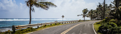 Road along ocean with palm trees