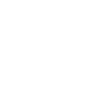 Pink Shell