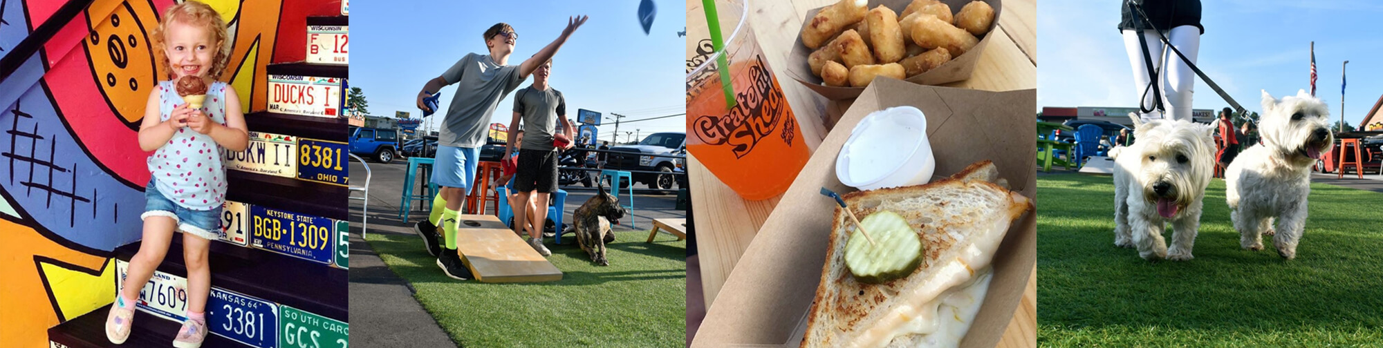 Grateful Shed Ice Cream, Cornhole, Grilled Cheese, and Dogs